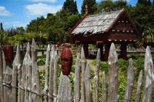 5 must do things in Rotorua