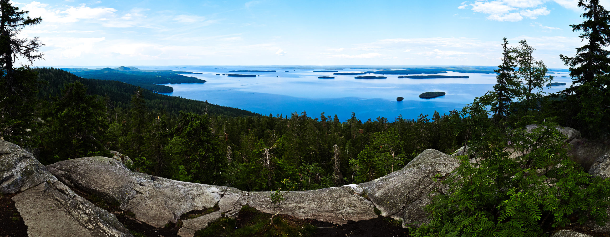 Summer,Panorama,View,Over,The,Lake,Pielinen,From,The,Top